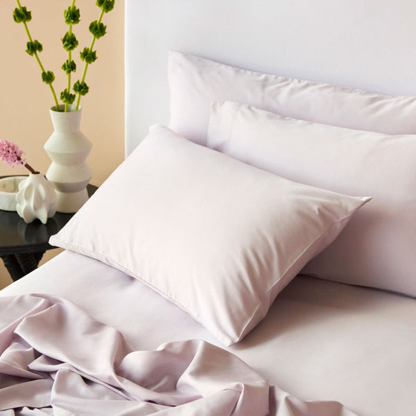 Bamboo Cotton Standard Pillowcase Pair - Lilac