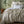 Load image into Gallery viewer, Pure Linen Duvet Cover Set - Natural
