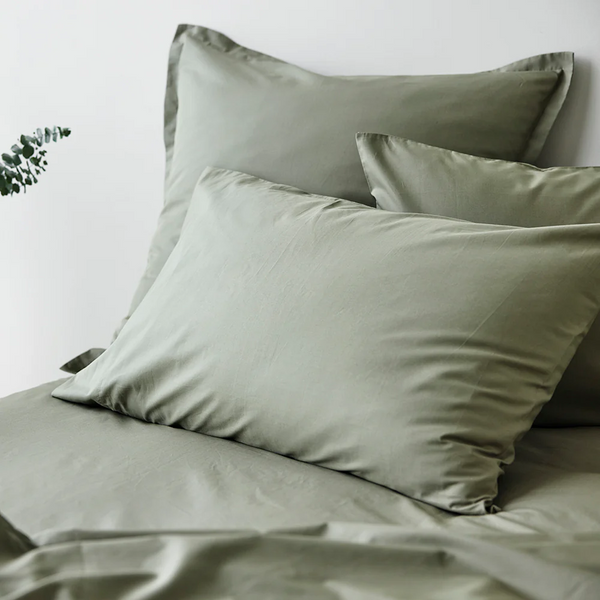 450TC Fresh Cotton Percale Pillowcase Pair - Cedar