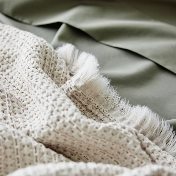 450TC Fresh Cotton Percale Pillowcase Pair - Cedar